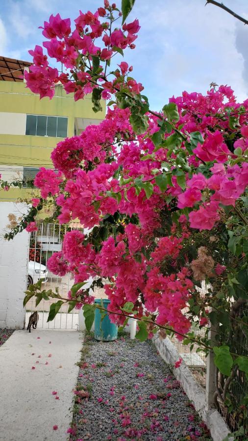 Solar Teixeira Flats Otel Pôrto das Galinhas Dış mekan fotoğraf