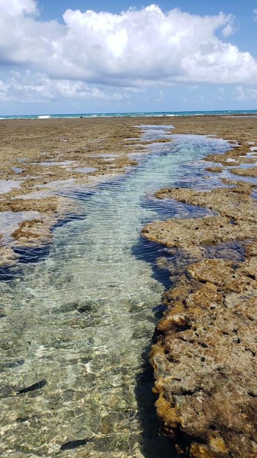 Solar Teixeira Flats Otel Pôrto das Galinhas Dış mekan fotoğraf
