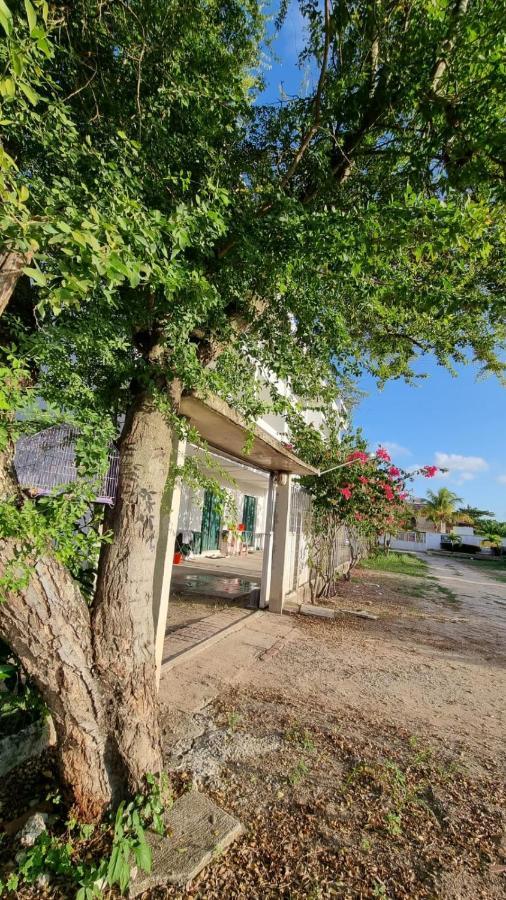 Solar Teixeira Flats Otel Pôrto das Galinhas Dış mekan fotoğraf